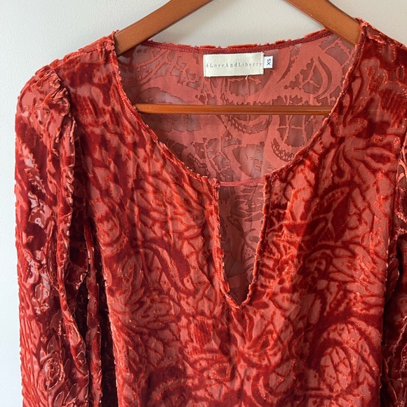 JOHNNY WAS 4 Love and Liberty Rust Velvet Burnout Sheer Silk Top Paisley Boho XS - Picture 3 of 6